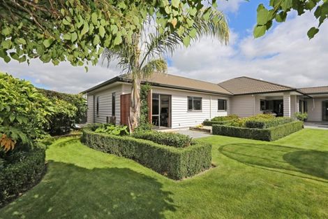 Photo of property in 6 Lardon Place, Frimley, Hastings, 4120