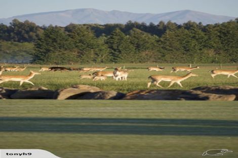 Photo of property in 18 Meadowlinks Lane, Pleasant Point, 7974