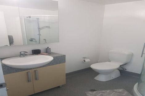 Photo of property in Dual Apartments, 203/142 Vivian Street, Te Aro, Wellington, 6011