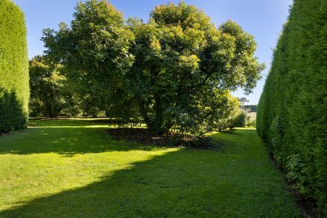 Photo of property in 526d Belk Road, Omanawa, Tauranga, 3171