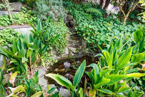 Photo of property in 3 Kensington Mews, Hokowhitu, Palmerston North, 4410