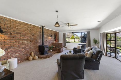 Photo of property in 32 Wicklow Street, Cromwell, 9310