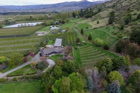 Photo of property in 244 Ripponvale Road, Cromwell, 9384