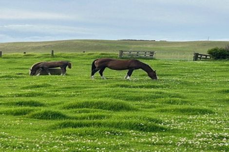 Photo of property in 286 Rehutai Road, Baylys Beach, Dargaville, 0377