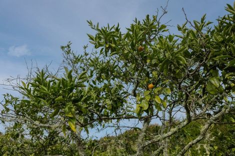 Photo of property in 17 Maraenui Drive, Kerikeri, 0293