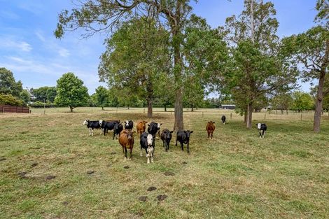 Photo of property in 267 Matangi Road, Matangi, Hamilton, 3284