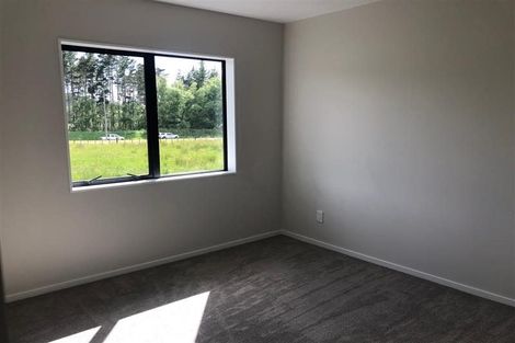 Photo of property in 106 Top Road, Dairy Flat, Albany, 0792