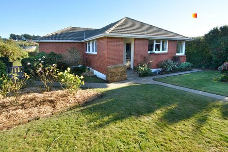 Photo of property in 113 Caldwell Street, Brockville, Dunedin, 9011