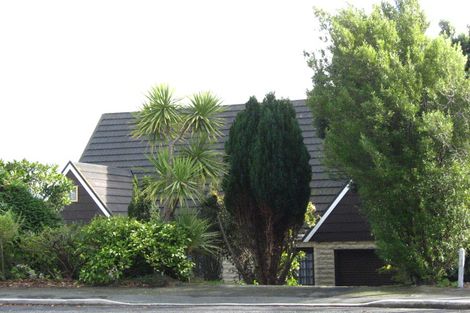 Photo of property in 35 Elliffe Place, Shiel Hill, Dunedin, 9013