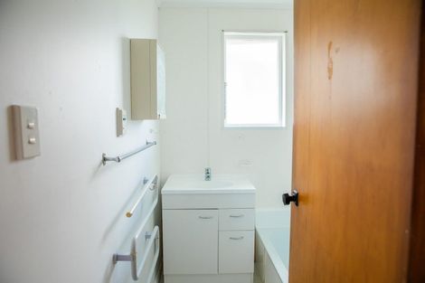 Photo of property in 49 Hillary Crescent, Belmont, Auckland, 0622