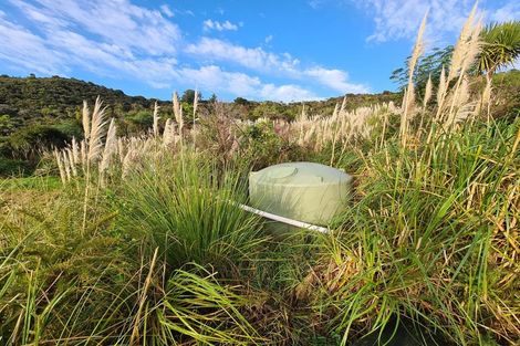 Photo of property in 1830 Colville Road, Amodeo Bay, Coromandel, 3584