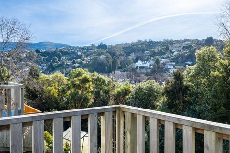 Photo of property in 59 Opoho Road, North East Valley, Dunedin, 9010