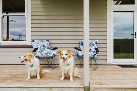 Photo of property in 524 Allanton Road, Outram, 9019