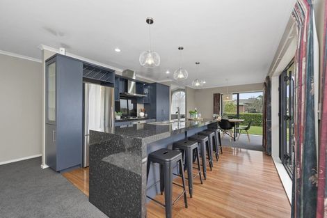 Photo of property in 7 Millennium Heights, Flagstaff, Hamilton, 3210