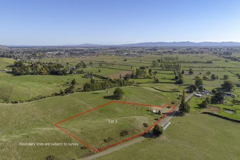 Photo of property in 48 Morrison Road, Taneatua, 3123
