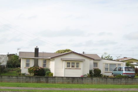 Photo of property in 102 Domett Street, Waitara, 4320