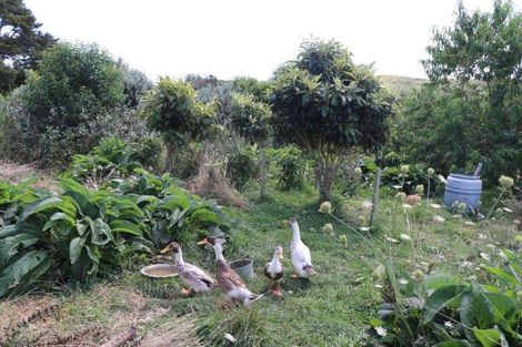 Photo of property in 883 Te Akau Road, Te Akau, Ngaruawahia, 3793
