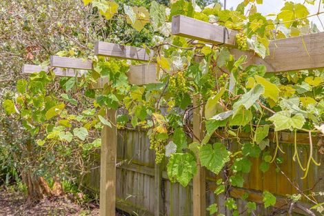 Photo of property in 117 Harrison Street, Whanganui, 4500