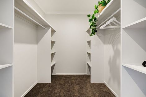 Photo of property in 29 Kakariki Lane, Rototuna North, Hamilton, 3210