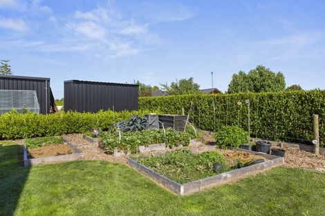 Photo of property in 5/1131 Mcclure Street, Pirongia, 3802