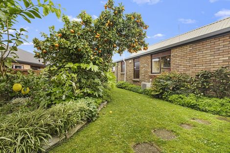 Photo of property in 60 Stirling Drive, Morrinsville, 3300