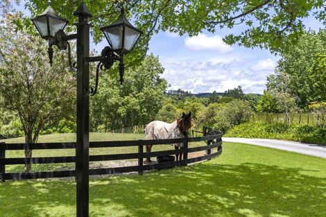 Photo of property in 196 Blackbridge Road, Dairy Flat, Albany, 0794
