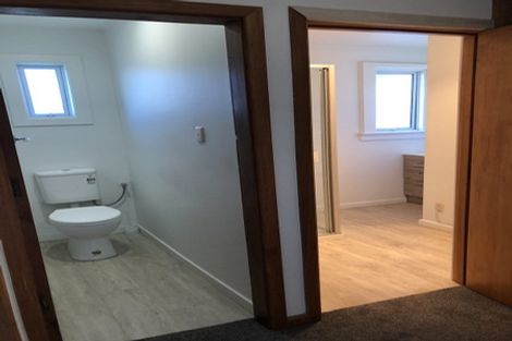 Photo of property in 107 Bordesley Street, Phillipstown, Christchurch, 8011