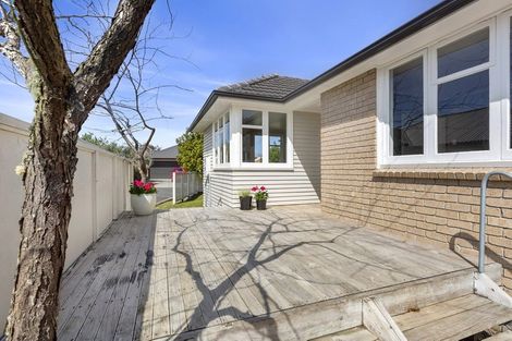 Photo of property in 124 Clarkin Road, Fairfield, Hamilton, 3214