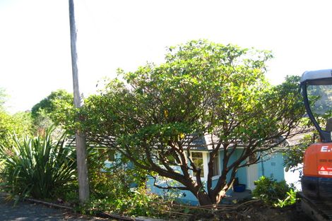 Photo of property in 12 Lucan Street, North East Valley, Dunedin, 9010