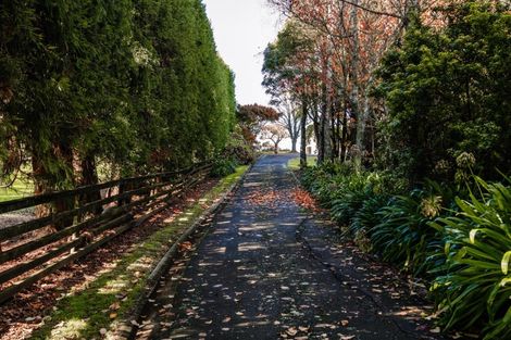 Photo of property in 227 Wairoa Road, Minden, Tauranga, 3171