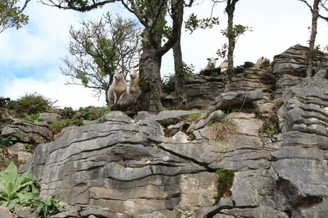 Photo of property in 1074 Oparure Road, Te Kuiti, 3985