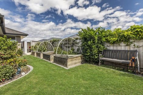 Photo of property in 31 Tuaia Street, Pyes Pa, Tauranga, 3112