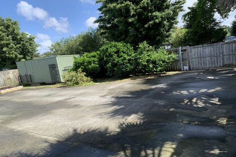 Photo of property in 42 Tabitha Crescent, Henderson, Auckland, 0612