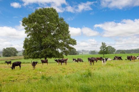 Photo of property in 2802 Arapuni Road, Pukeatua, 3880