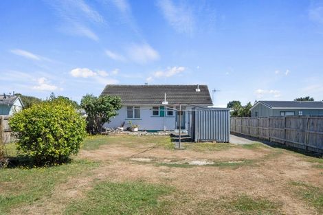 Photo of property in 29 Hinemoa Street, Levin, 5510