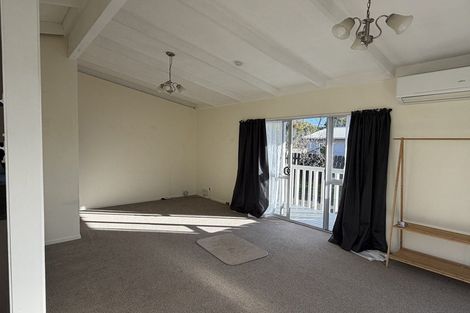 Photo of property in 29 Riley Place, Fitzroy, Hamilton, 3206