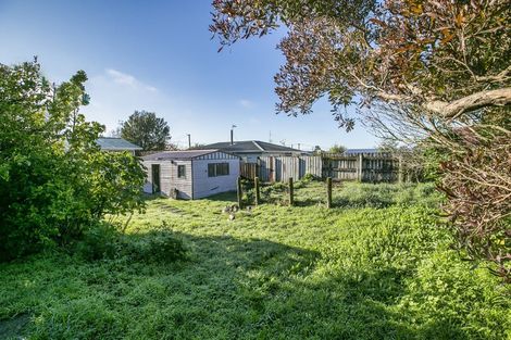 Photo of property in 60 Brandon Street, Featherston, 5710