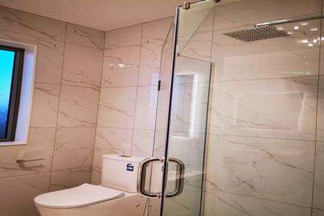 Photo of property in 84 Tir Conaill Avenue, Flat Bush, Auckland, 2019