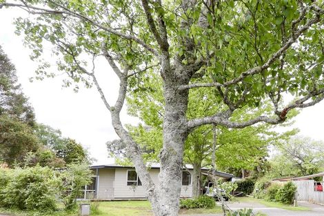Photo of property in 14 Luke Place, Fairy Springs, Rotorua, 3015
