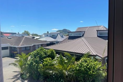Photo of property in 10 Terrace Avenue, Mount Maunganui, 3116