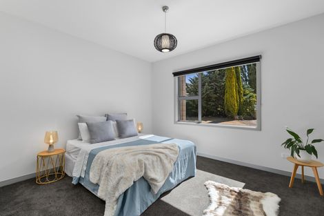 Photo of property in 293 Riverbank Road, Wanaka, 9382