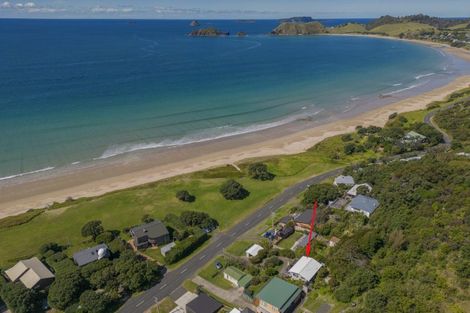Photo of property in 874 Black Jack Road, Opito Bay, Whitianga, 3592