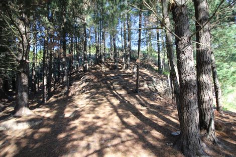 Photo of property in 70 Holliss Avenue, Cashmere, Christchurch, 8022