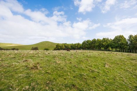 Photo of property in 484 Finnis Road, Pohangina, Feilding, 4775