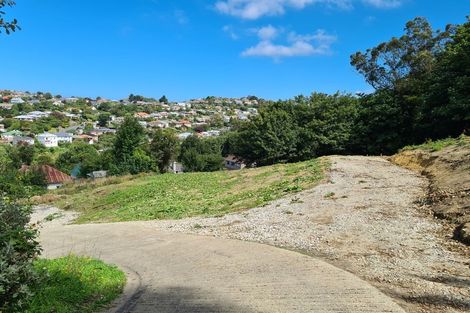 Photo of property in 20 Thomson Street, Lookout Point, Dunedin, 9011