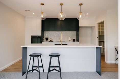 Photo of property in 427c Ruahine Street, Terrace End, Palmerston North, 4410