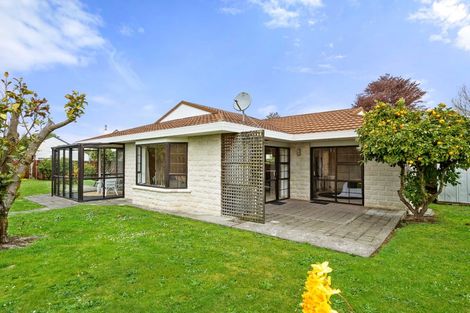 Photo of property in 9b Cooper Street, Lansdowne, Masterton, 5810