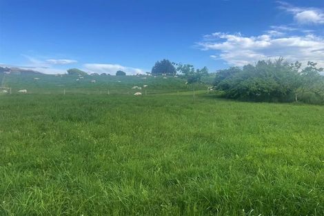 Photo of property in 4 Cranfield Place, Waimate, 7924