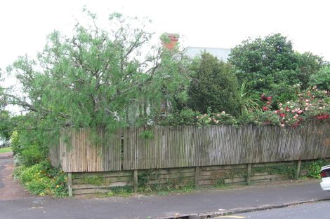 Photo of property in 9 Murdoch Road, Grey Lynn, Auckland, 1021