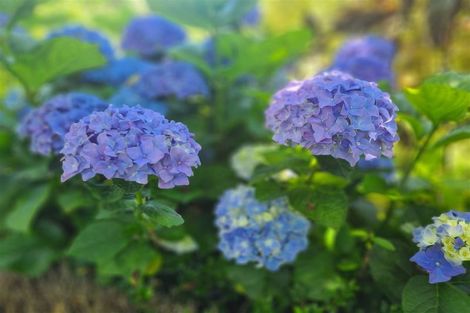 Photo of property in 76 Riverland Road, Kumeu, 0892